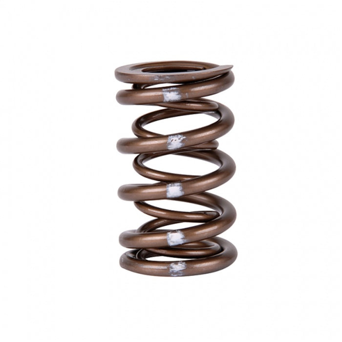 Skunk2 Racing 311-05-7350 Skunk2 Pro Series Honda/Acura B-Series VTEC XP Valve Spring Set (Dual Springs)