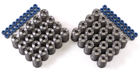 GSC Power Division 5025 GSC P-D Audi R8 V10 / Lamborghini Huracan V10 5.2L Valve Spring & Ti Retainer Kit (w/Seats & Seals)