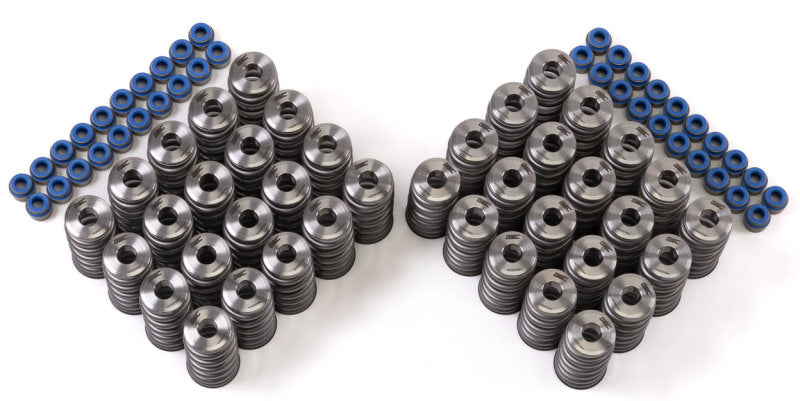 GSC Power Division 5025 GSC P-D Audi R8 V10 / Lamborghini Huracan V10 5.2L Valve Spring & Ti Retainer Kit (w/Seats & Seals)