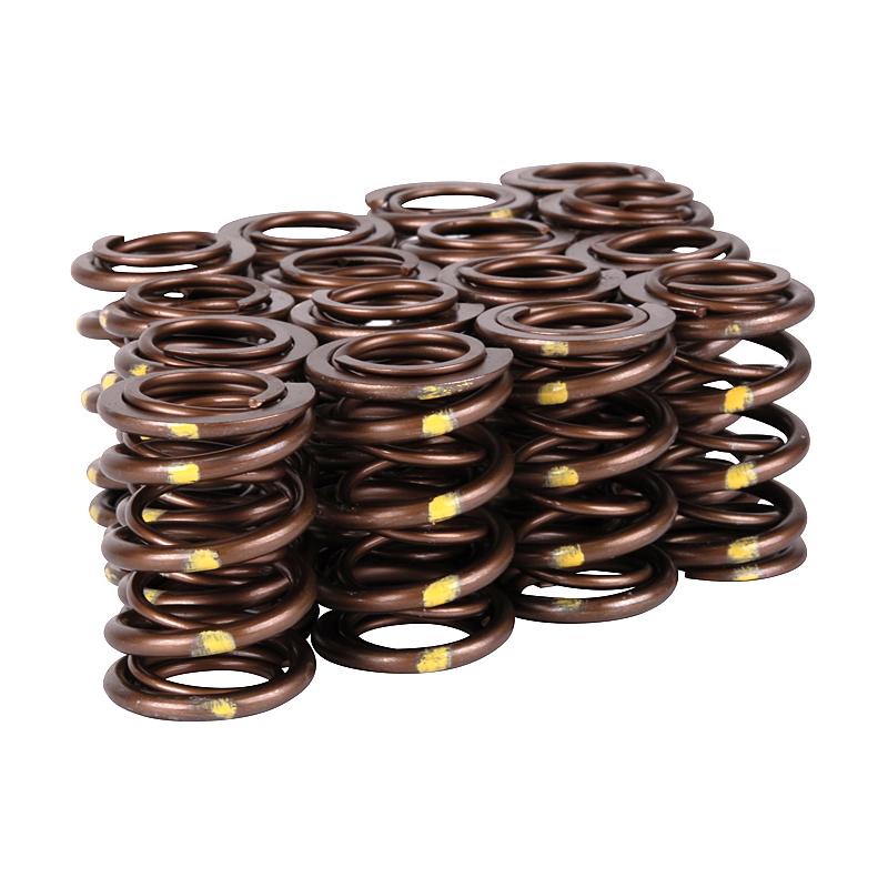 Skunk2 Racing 311-05-7350 Skunk2 Pro Series Honda/Acura B-Series VTEC XP Valve Spring Set (Dual Springs)
