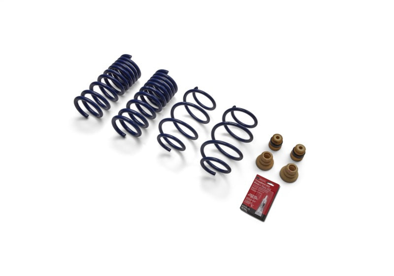 Ford Racing M-5300-XA 15-19 Mustang (w/o MagneRide) Street Lowering Spring Kit