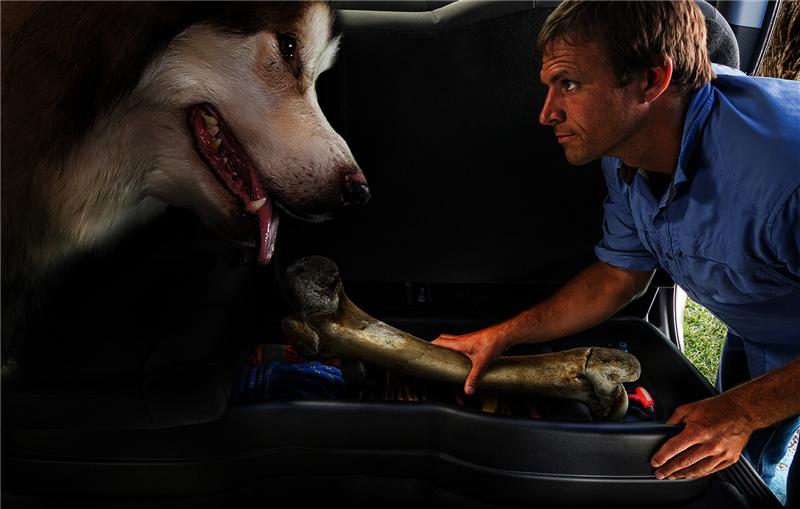 Husky Liners 09201 04-08 Ford F-150 SuperCrew Cab Husky GearBox