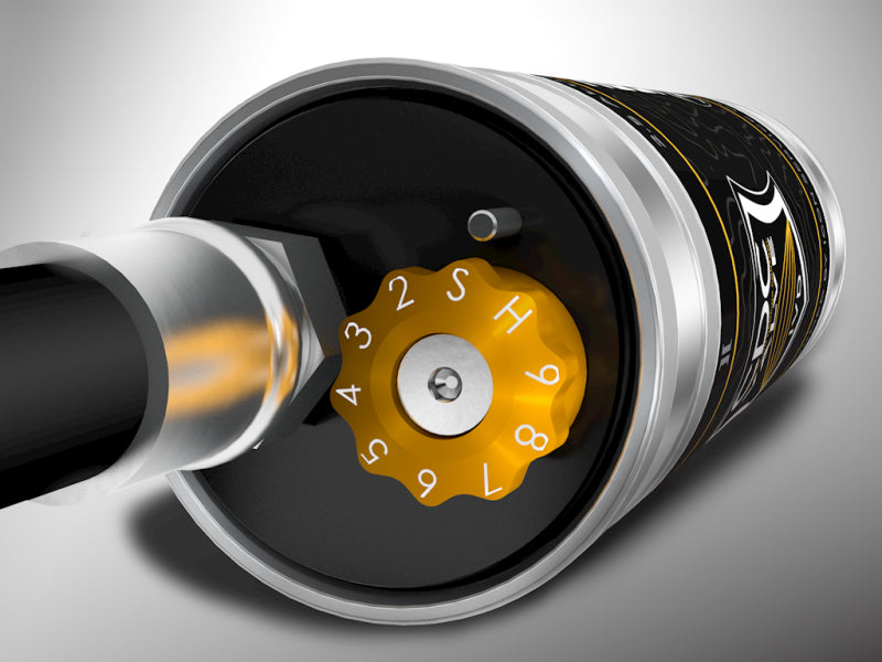 ICON 217802CP 2014+ RAM 2500 2.5in Front 2.5 Series Shocks VS RR CDCV - Pair