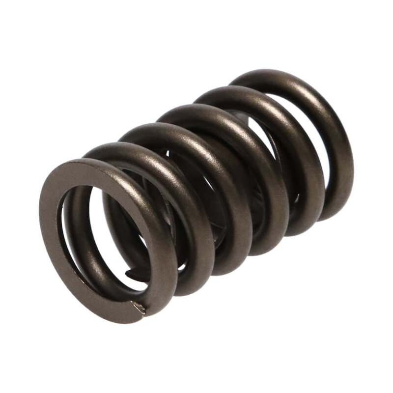 Manley MAN22409-16 1.250 Street Master Single Valve Springs