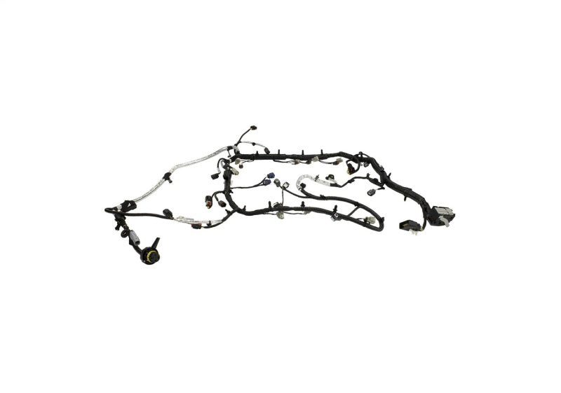 Ford Racing M-12508-M50A 5.0L Coyote Engine Harness for Automatic Transmission