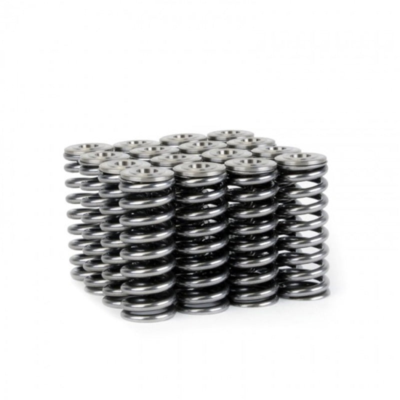 Skunk2 Racing 344-05-1350 Skunk2 Alpha Series Honda/Acura D Series Valve Spring and Titanium Retainer Kit