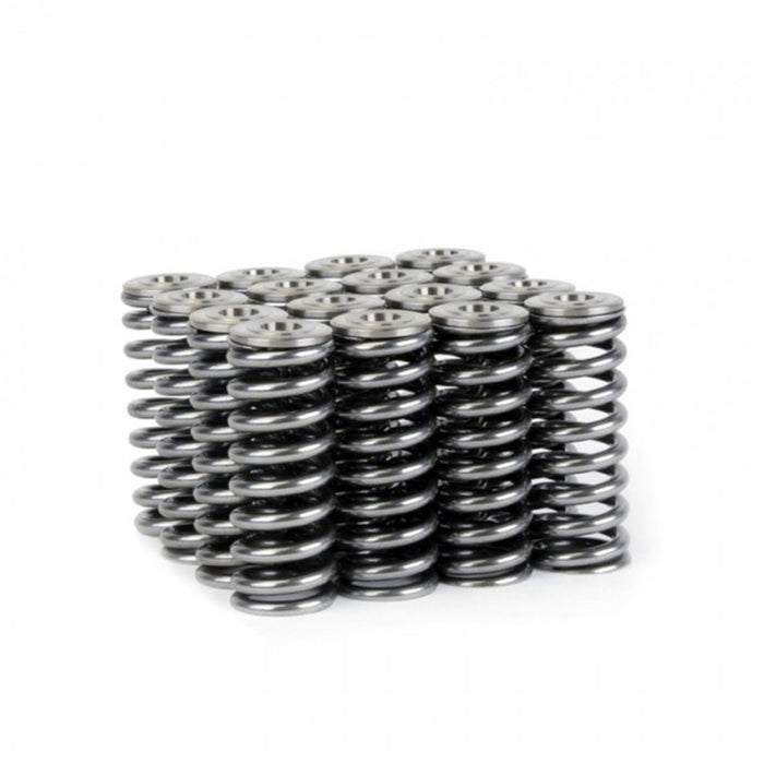 Skunk2 Racing 344-05-1350 Skunk2 Alpha Series Honda/Acura D Series Valve Spring and Titanium Retainer Kit
