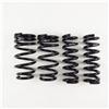 RS-R T999D 14+ Lexus RC-F / 2016 GS-F Down Sus Springs