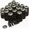 GSC Power Division 5041 GSC P-D Mitsubishi 4G63T Beehive Valve Springs & Ti Retainer Kit