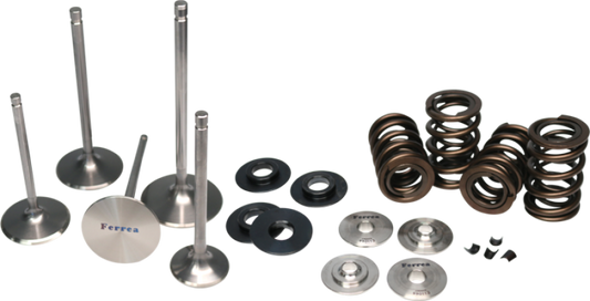 Ferrea KT4020 Subaru WRX STI Endurance Dual Spring Kit