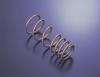 Tein SKA18-BUB00 94-01 Integra (Incl. TypeR) H. Tech Springs