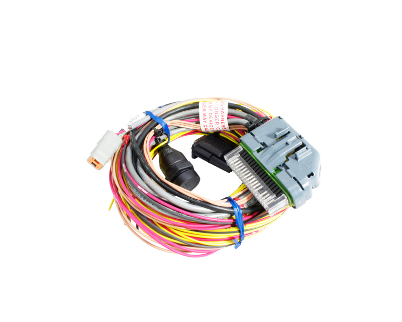 AEM 30-2906-96 AQ-1 96in Flying Lead Wiring Harness