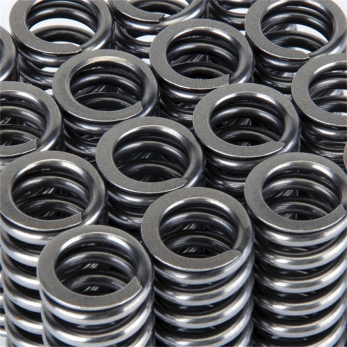 Skunk2 Racing 311-05-1345 Skunk2 Alpha Series Honda D Series VTEC Valve Spring Set