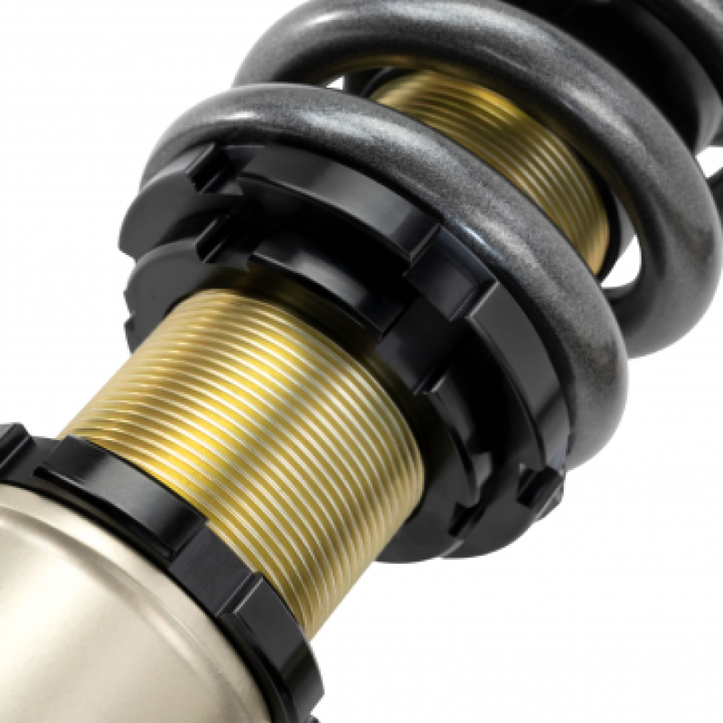 Skunk2 Racing 541-05-5005 Skunk2 92-95 Honda Civic/94-01 Acura Integra (EG/EK/DC) Pro-S II Drag Spec Coilovers (12K/18K Rates)