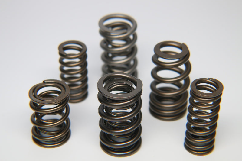 Ferrea S10112 Nissan RB25DET Dual Valve Spring - Set of 24