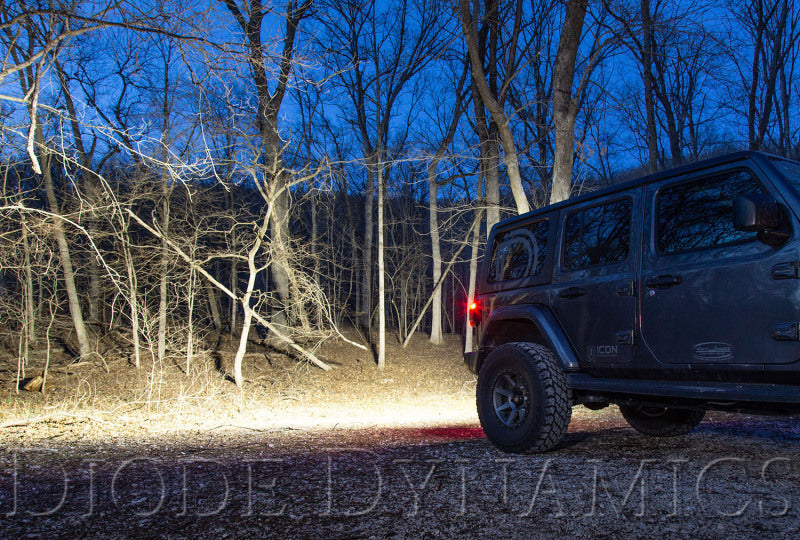Diode Dynamics DD6110 18-21 Jeep JL Wrangler SS30 Rear Hardtop Bracket Kit - White Flood