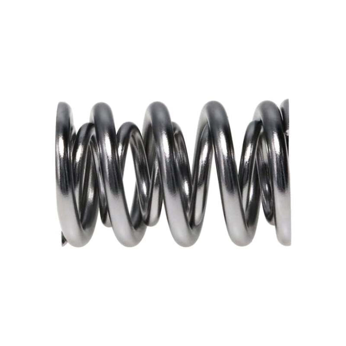 Manley MAN221445P-16 1.620 Dual Valve Springs - Polished
