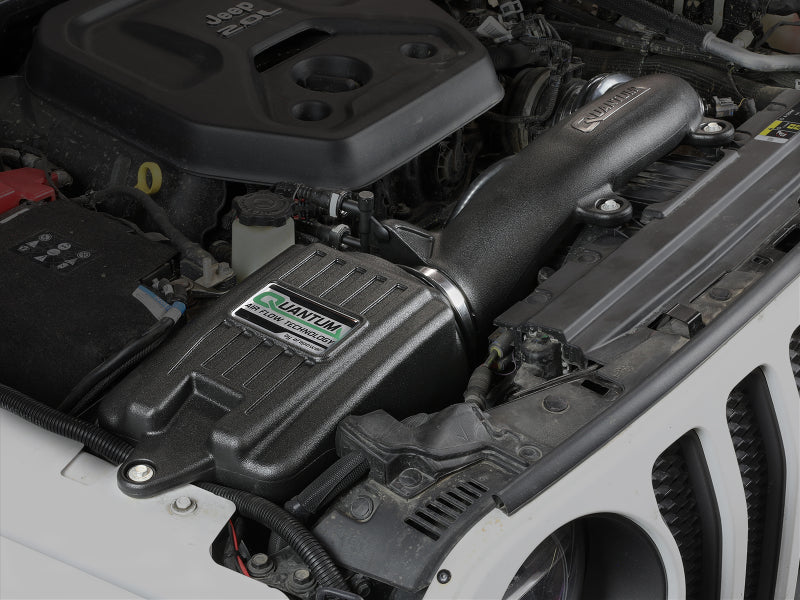 aFe 53-10019R AFE Quantum Intakes