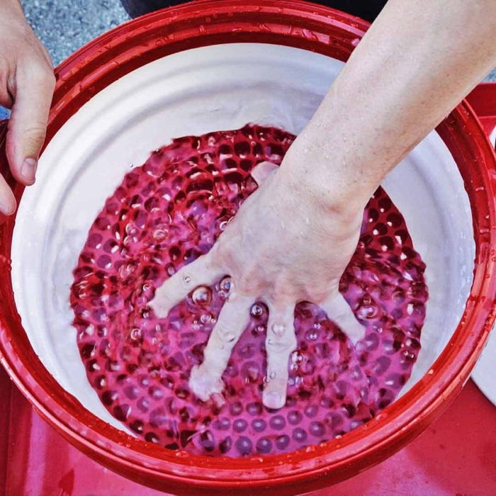 Chemical Guys DIRTTRAP02 Cyclone Dirt Trap Car Wash Bucket Insert - Red