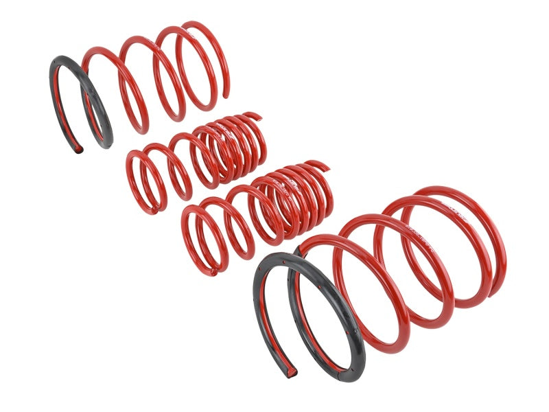 Skunk2 Racing 519-05-1570 Skunk2 01-05 Honda Civic Lowering Springs (2.25in - 2.00in.) (Set of 4)
