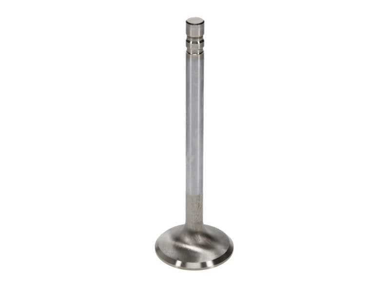 Manley Performance 11595-8 Manley SBC 1.6 Severe Duty Exhaust Valves (Set of 8)
