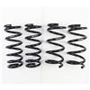 RS-R N134D 10+ Nissan 370Z (Z34) Down Sus Springs