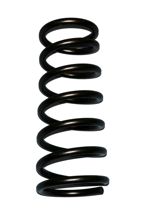 Skyjacker D20 Coil Spring Set 1994-2001 Dodge RAM 1500 4 Wheel Drive