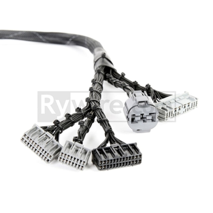 Rywire RY-B1-BASE Honda B-Series OBD1 Tuck Budget Eng Harness w/OBD1 Dist/Inj/Alt/92-95 ECU Plugs (Adapter Req)