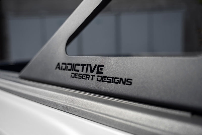 Addictive Desert Designs C1115521101NA 17-19 Ford F-150 Raptor Stealth Fighter Chase Rack