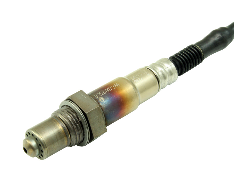 AEM 30-2001 Bosch UEGO Replacement Sensor