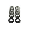 Belltech BT Pro Coil Spring Set 12604