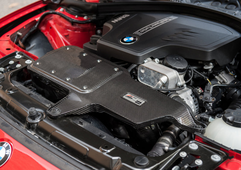 AWE Tuning 2660-13034 BMW 228i/320i/328i/428i S-FLO Carbon Intake