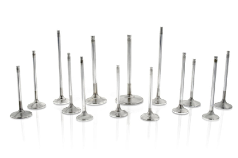 Ferrea F2431P Toyota/BMW B58 3.0L 30.1mm 4.97mm 99.15mm 19 Deg Tapr Flo STD Comp Plus Int Valve - Set of 12