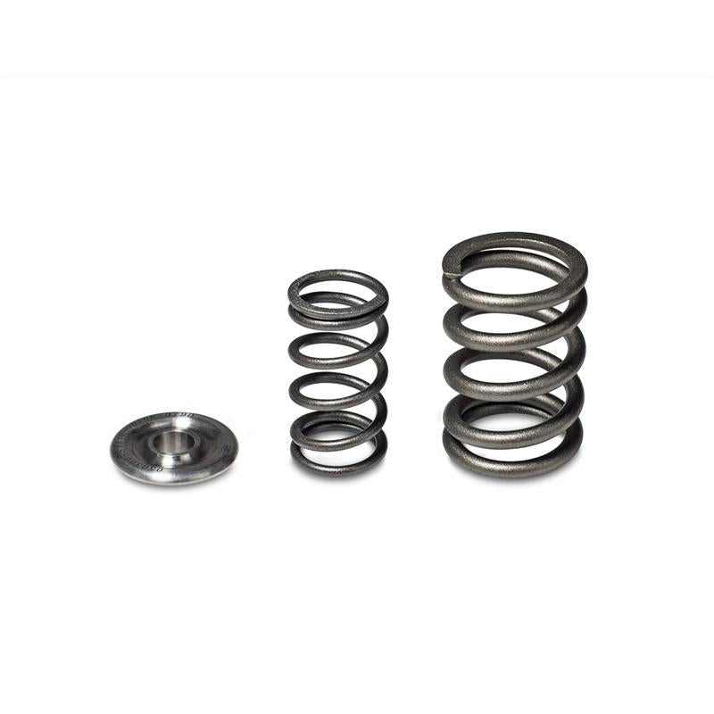 Skunk2 Racing 344-05-1360 Skunk2 Alpha Series Honda/Acura H Series Valve Spring and Titanium Retainer Kit
