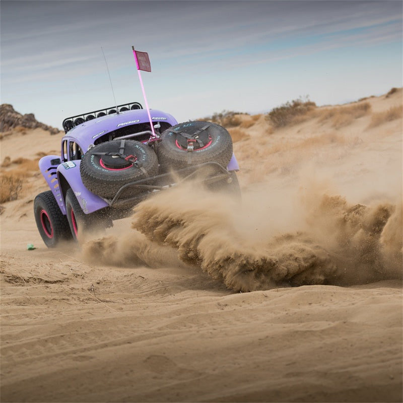 Rigid Industries 36117-SHREDDY x SHREDDY 360-Series 4in Lights w/Wt Bcklght (2) + 6 Covers (2 Pink/2 Teal/2 Blk)