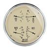 AutoMeter AM Antique Beige Gauges 1819