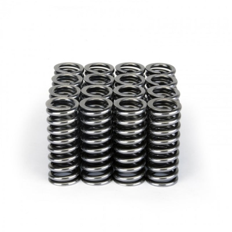 Skunk2 Racing 311-05-1345 Skunk2 Alpha Series Honda D Series VTEC Valve Spring Set