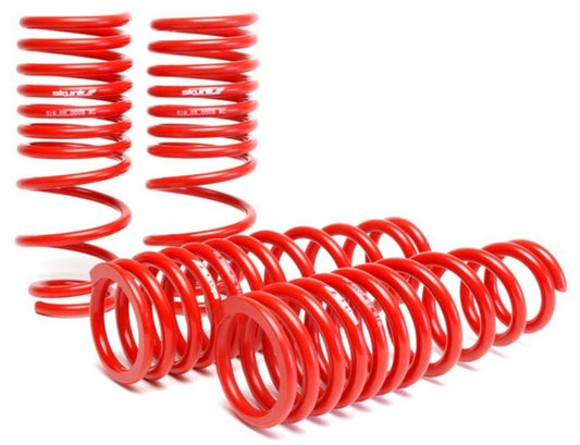 Skunk2 Racing 519-05-1480 Skunk2 92-95 Honda Civic/Del Sol Lowering Springs (2.50in - 2.25in.) (Set of 4)