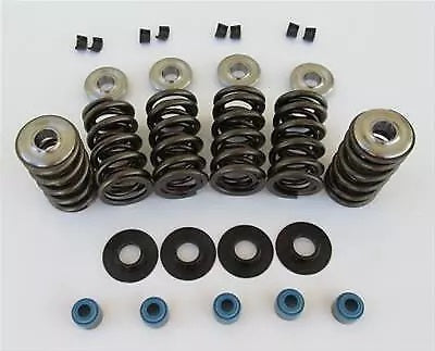 Cam Motion Inc CAMVSK142201 LS Dual Valve Spring & Retainer Kit