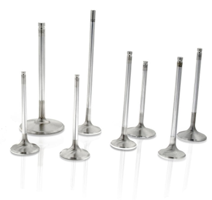 Ferrea FERF6316-8 SBC C/6 1.600 Exhaust Valves 5/16 5.060 OAL