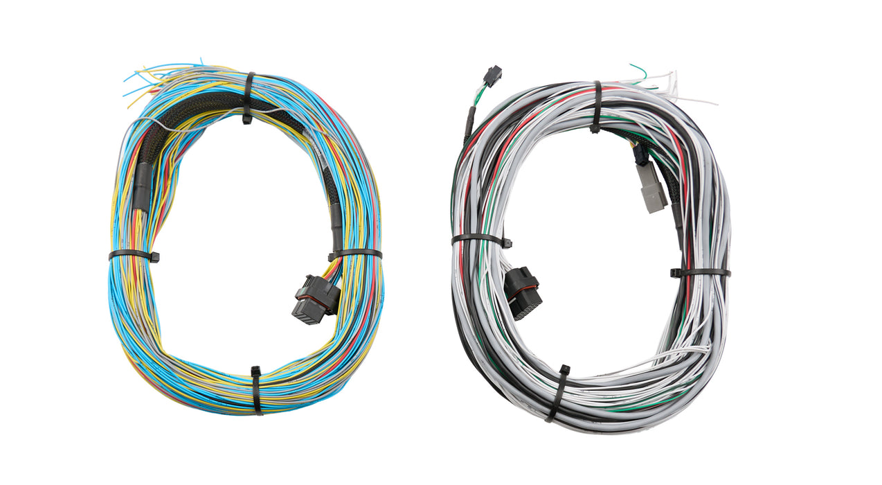 Fueltech USA FTH2001004003 FT600/FT700 Harness 20ft