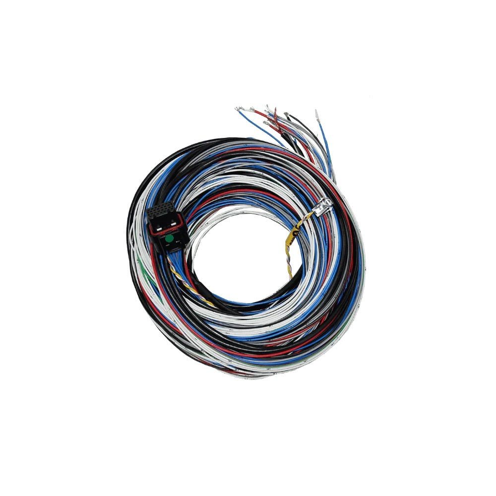 Fueltech Usa FTH2001005570 FT450/550 A Harness 20ft