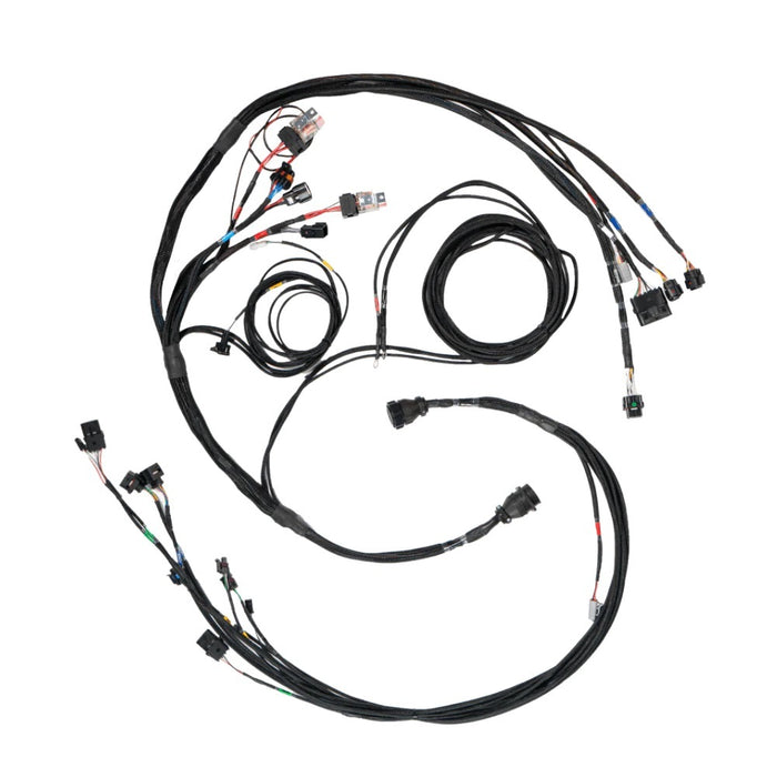 Fueltech USA FTH2002007356 FT450/550 Sportsman A Datalogging Harness
