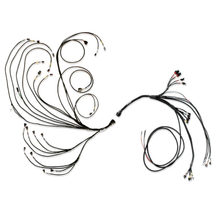 Fueltech Usa FTH3026100077 PRO600 Ford V8 Complete Harness
