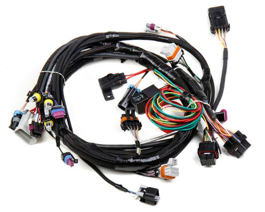 Holley HLY558-102 Main Wiring Harness LS1 & LS6