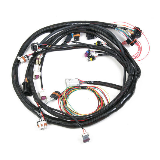 Holley HLY558-104 Main Harness - Universal MPFI