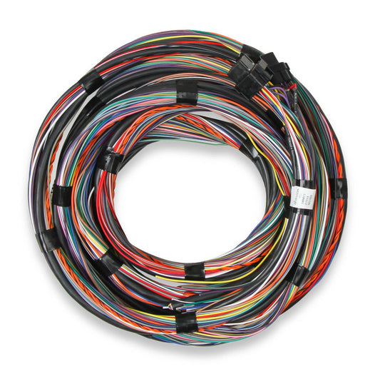Holley HLY558-126 Flying Lead Main Harness