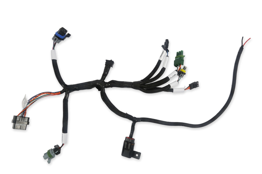 Holley HLY558-127 Bench-Top EFI Test Harness