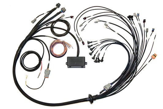 Haltech HTHHT-141376 Elite 2000/2500 EV1 Terminated Wire Harness