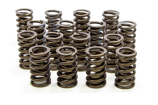Isky Cams ISK205-D Valve Springs